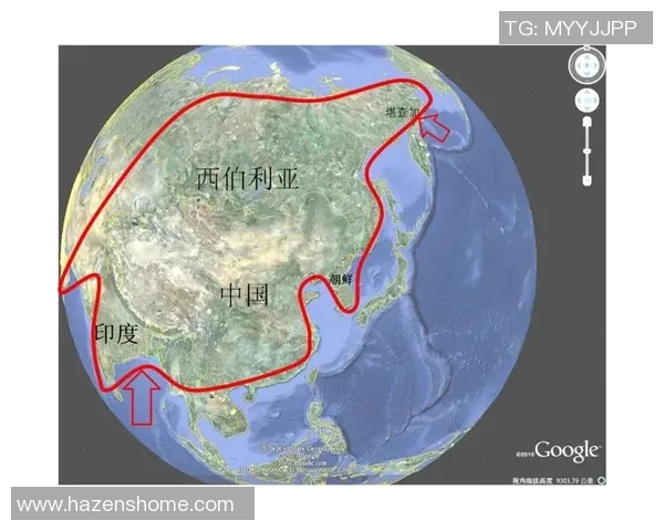 突尼斯足球明星的数量与成就探讨及其对国家足球发展的影响